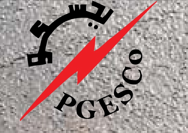 شركة مقاولات تستحوذ على ٦٠٪؜ من “بجسكو” بقيمة ٣٥٠ مليون جنيهاً