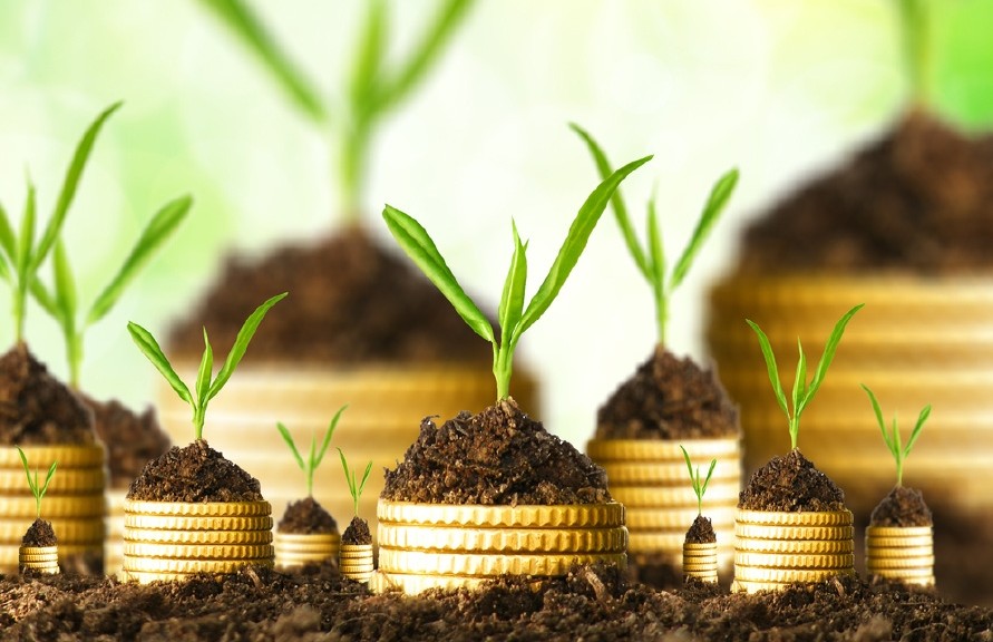 ملف.. الاستثمار فى الجامعات ينتظر تسهيلات الحكومة