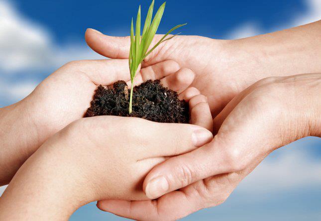 “عطاء اﻷطباء”: اﻹيرادات ارتفعت وقيمتها تراجعت