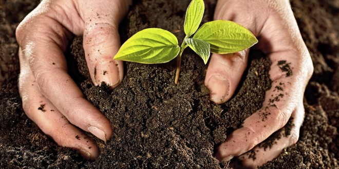 انعقاد مؤتمر تعزيز ودعم التنمية المحلية واللامركزية بمشاركات دولية غدًا