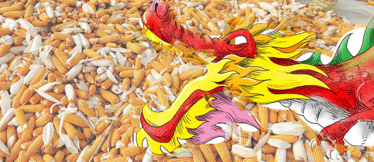 ملف.. التنين الصينى يبتلع سلاسل توريد الغذاء