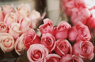 80 ألف دولار لدعم توسعات «ورود دوت نت»