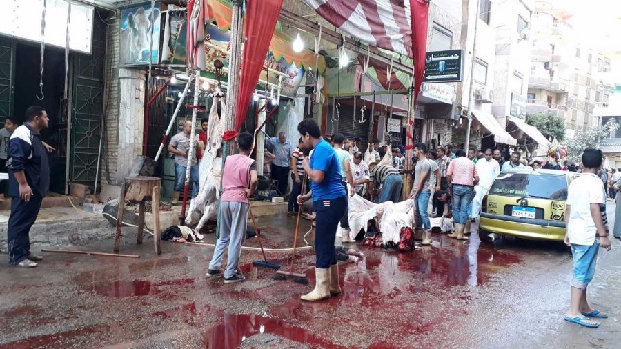 تراجع أسعار ذبح الأضاحى بالإسكندرية بنسبة 15% عن العام الماضى