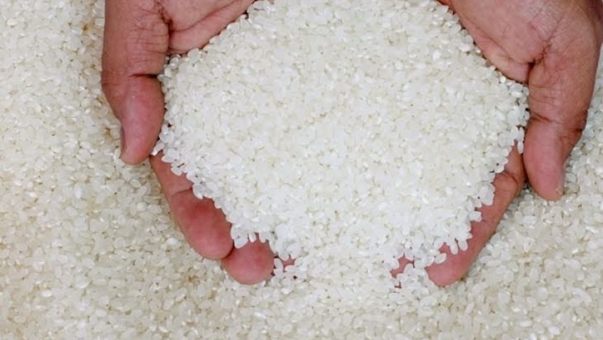 غضب بين الفلاحين والقطاع الخاص على أسعار توريد “الأرز”