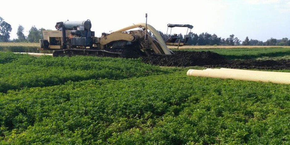 وزير الصحة الأسبق: 70% من الأطفال والسيدات الحوامل يعانون نقص «فيتامين د»