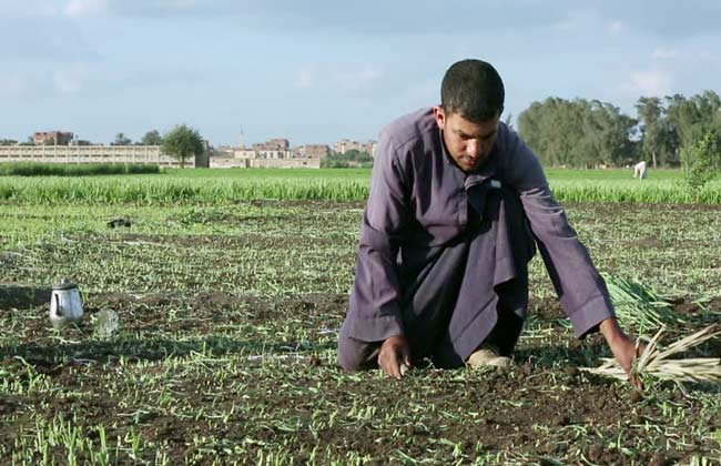 «الرى» تُحدد مقابل رصد مياه الآبار المستخدمة خارج «الزراعة»