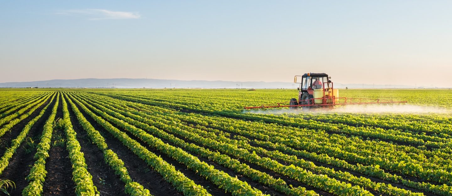 مطالب بتوفير قاعدة بيانات للتأمين على “الثروة الزراعية”