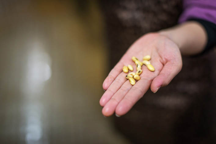 تايوان تعزز واردات فول الصويا الأمريكية وسط النزاعات التجارية مع الصين