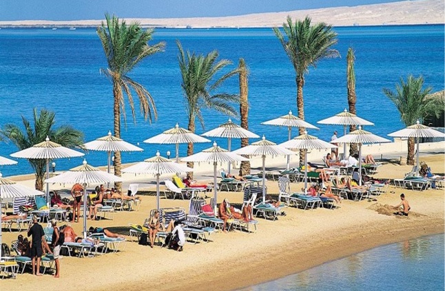 “سكاى لايت” تترقب موافقة الرقابة المالية على نموذج الإفصاح لطرح 25% من أسهمها 