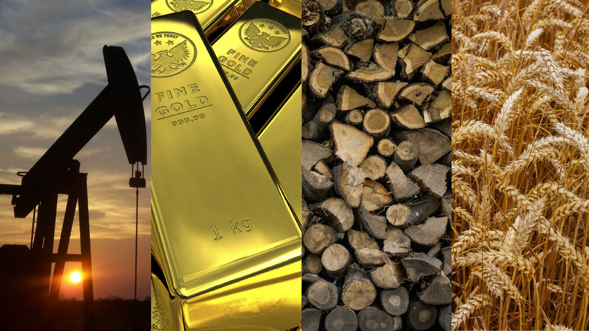 تداول السلع: ما الذي تحتاج إلى معرفته