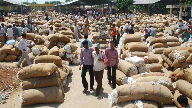 الغزل والنسيج ؛ القطن