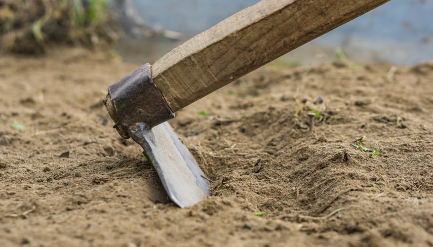 أراضي زراعية ؛ أراضى زراعية ؛ زراعة