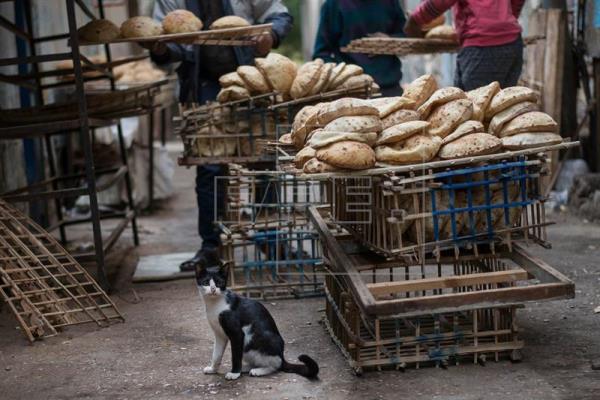 الخبز ؛ المخابز ؛ خبز ومخابز