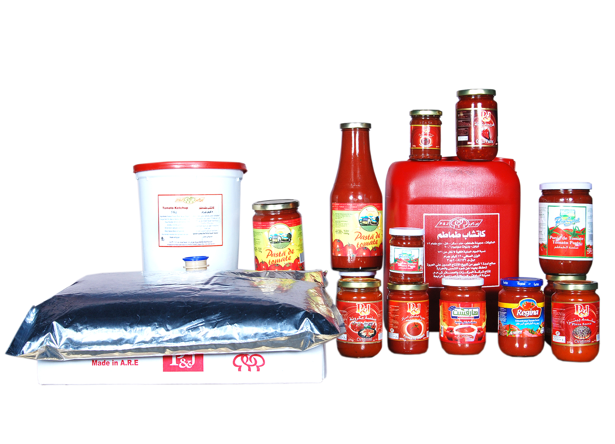 «Paste & Juice» تستثمر 30 مليون جنيه لتطوير طرق الزراعة والحصاد