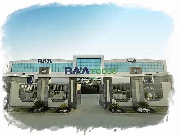 «راية للصناعات الغذائية» ترفع قدراتها الإنتاجية لـ32 ألف طن بنهاية 2018