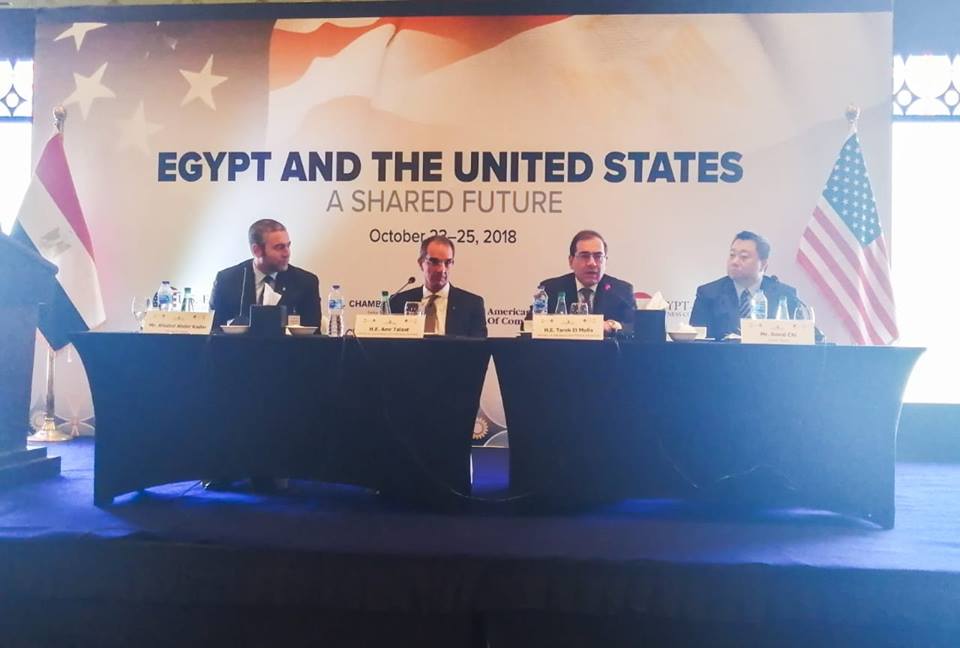 “الملا” : تقديم حوافز استثمارية لقطاع الطاقة ومستمرون في إصلاح هيكل الدعم