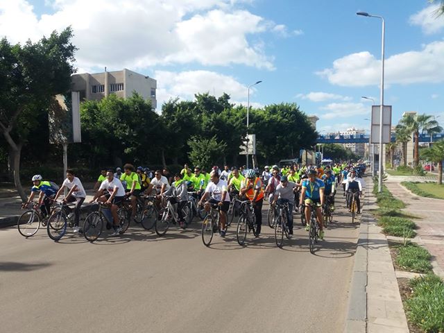 32 مليون دولار لمواجهة النحر بالإسكندرية والدلتا