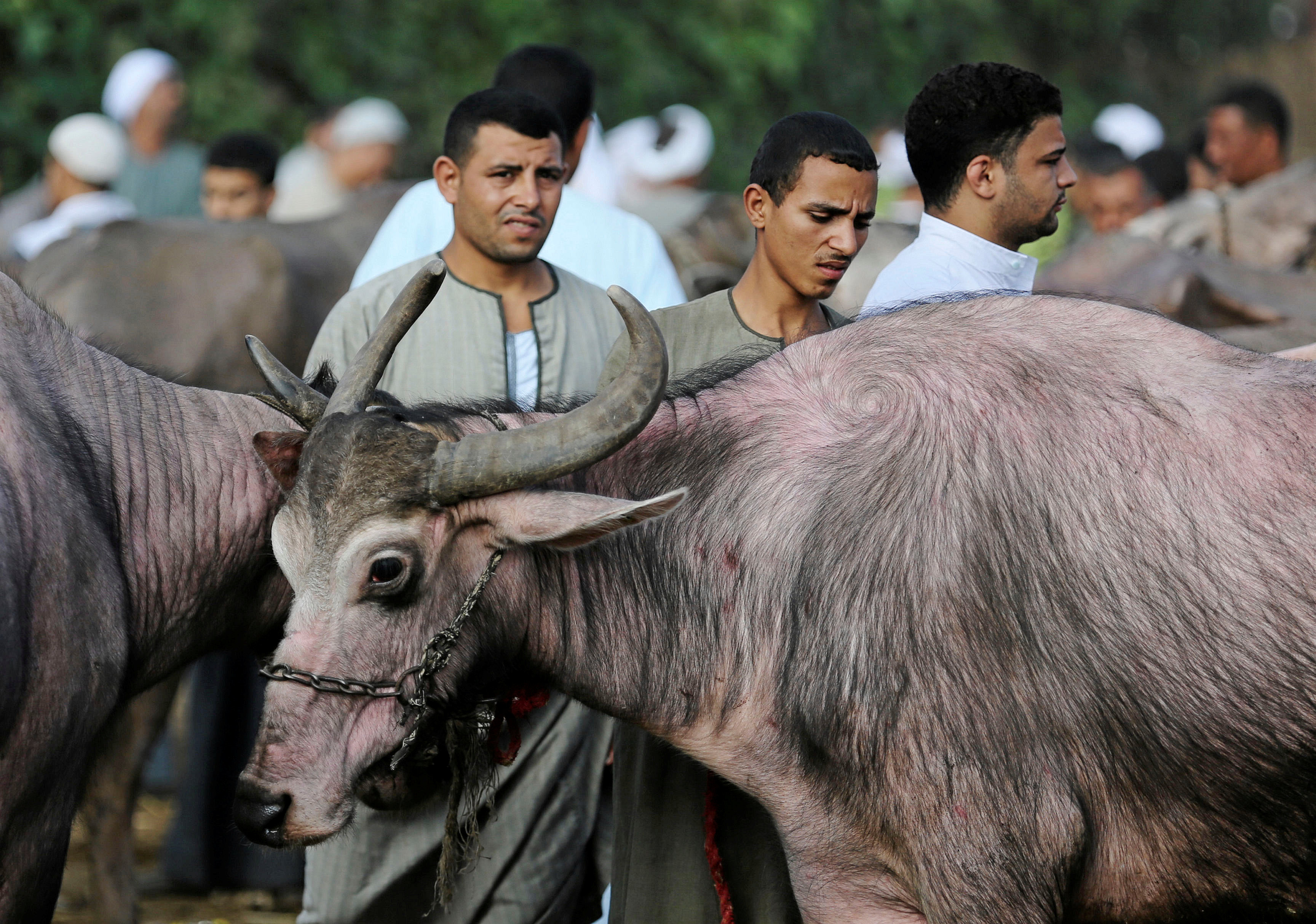 العقوبات الأمريكية تقضى على طموحات إيران الاقتصادية