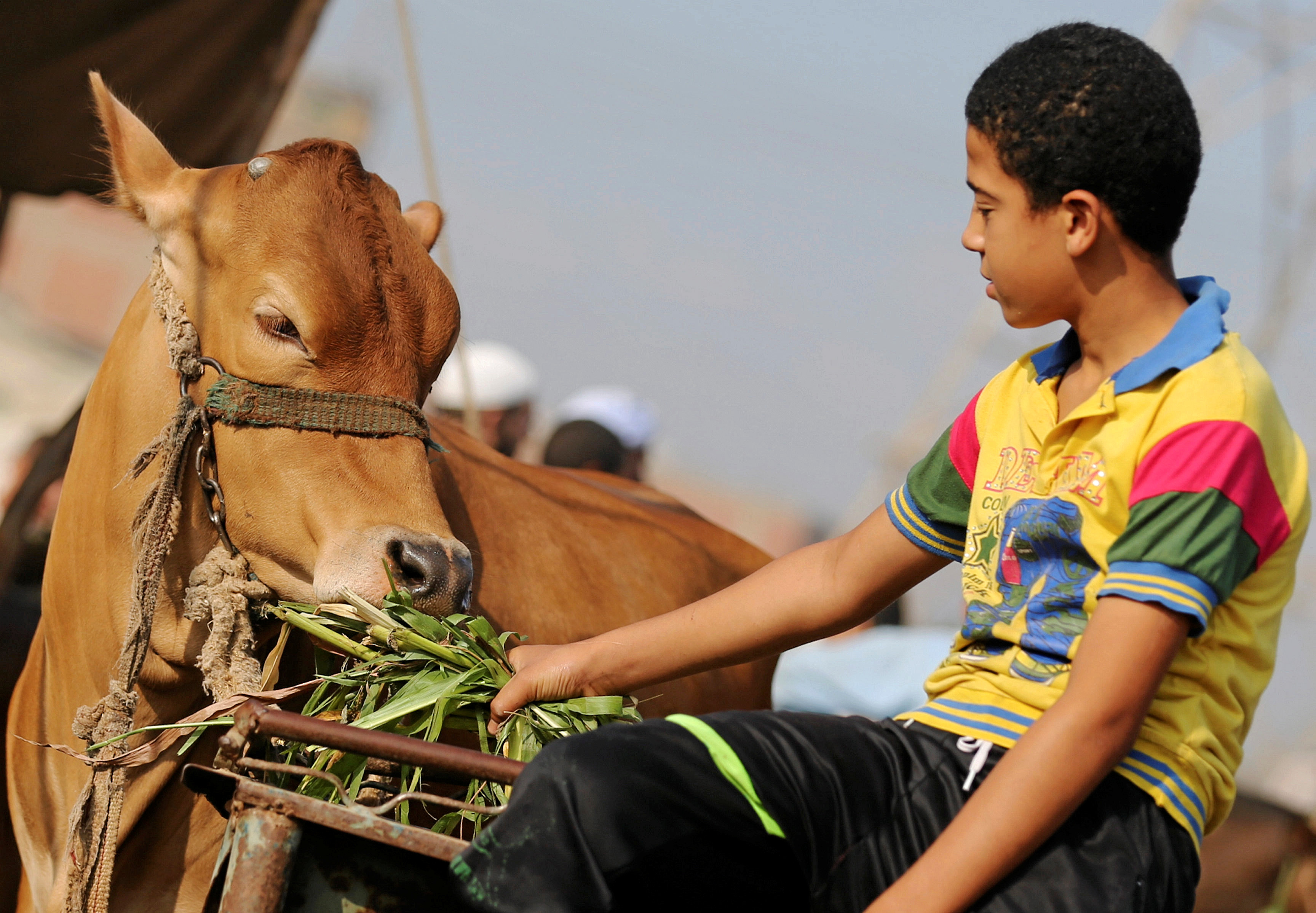 العقوبات الأمريكية تقضى على طموحات إيران الاقتصادية