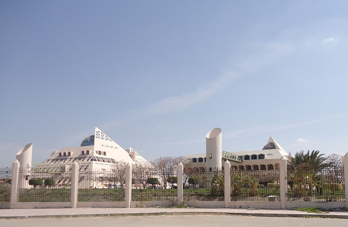 “الأبحاث العلمية” تعرض فرص الاستثمار فى 84 مصنعاً وحاضنة تكنولوجية بـ” برج العرب”