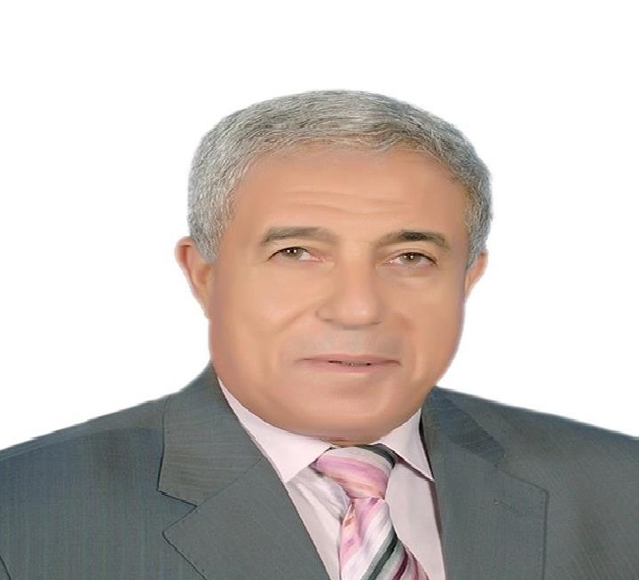 «أسوان» تخطط لإنشاء مصنع لإنتاج الخلايا الشمسية