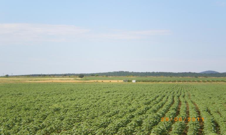 رئيس قطاع المياه الجوفية : وزارة الري تقدم الدعم الفني لمشروع الـ 1.5 مليون فدان