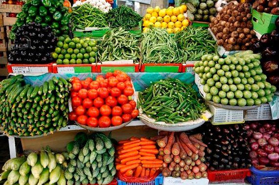 خلاف حول إطلاق منظومة جديدة لـ”تكويد المحاصيل الزراعية”