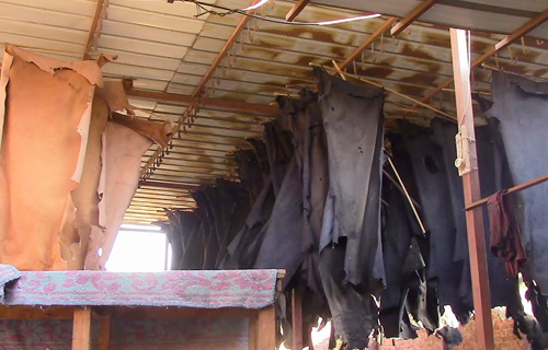 سنة أولى «روبيكى»