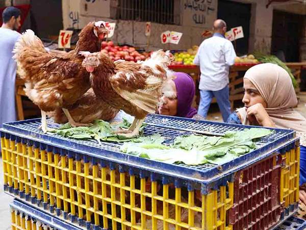 “الإسكان” تستعرض إنجازات 2018 بقطاع التخطيط والمشروعات فى “المجتمعات العمرانية”