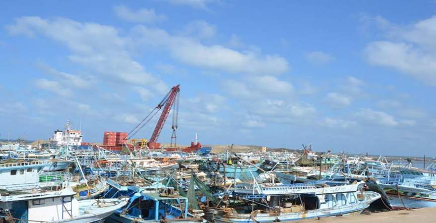 ميناء البرلس ؛ ميناء صيد ؛ الصيد