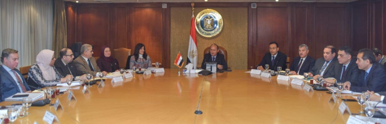 «الصناعة» تنسق مع وزراء المجموعة الاقتصادية لتعزيز منظومة التصدير
