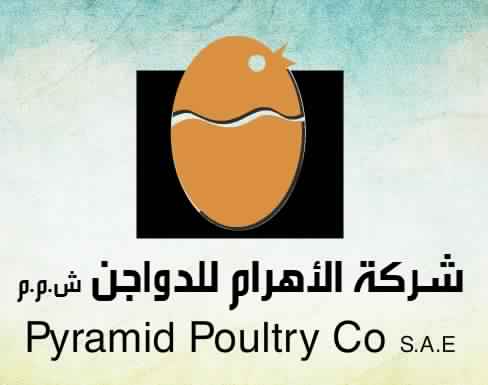 «الأهرام للدواجن» تدرس الطرح فى البورصة
