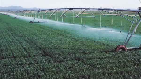 «الزراعة الأمريكية» تضمن قروض القطاع الخاص لتمويل الصادرات