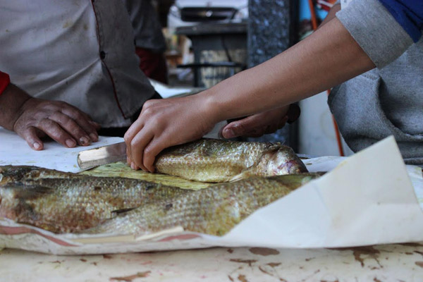 الفسيخ ؛ الأسماك المملحة