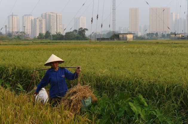 3 ركائز وراء نجاح نموذج تحول «فيتنام» لاقتصاد السوق الحر