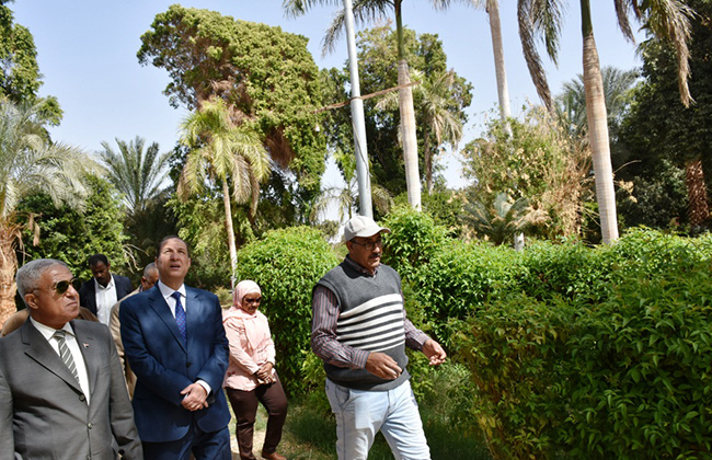 محافظ اسوان