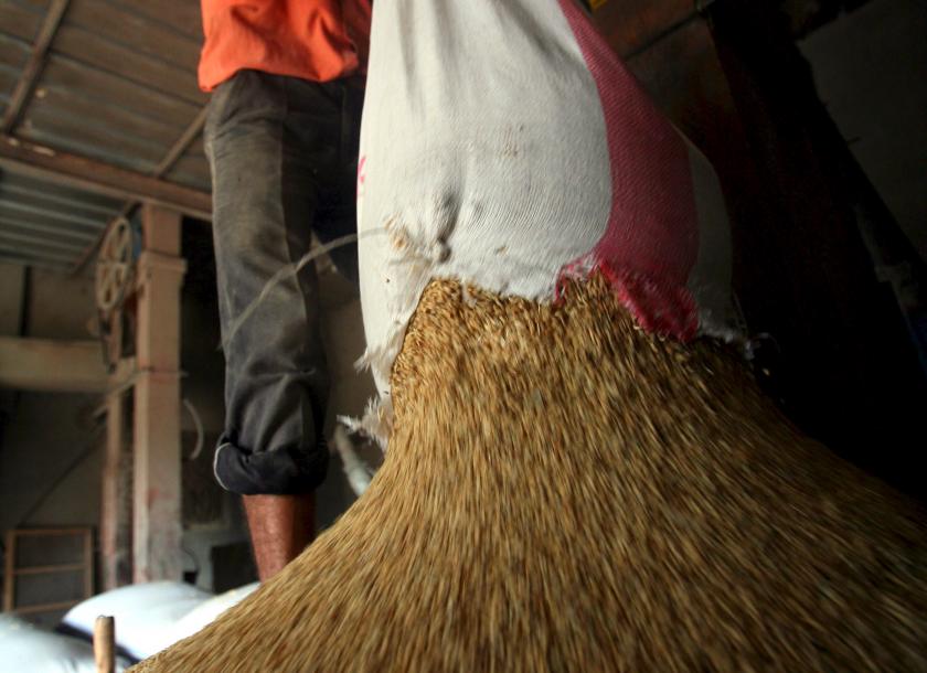 مضارب الأرز