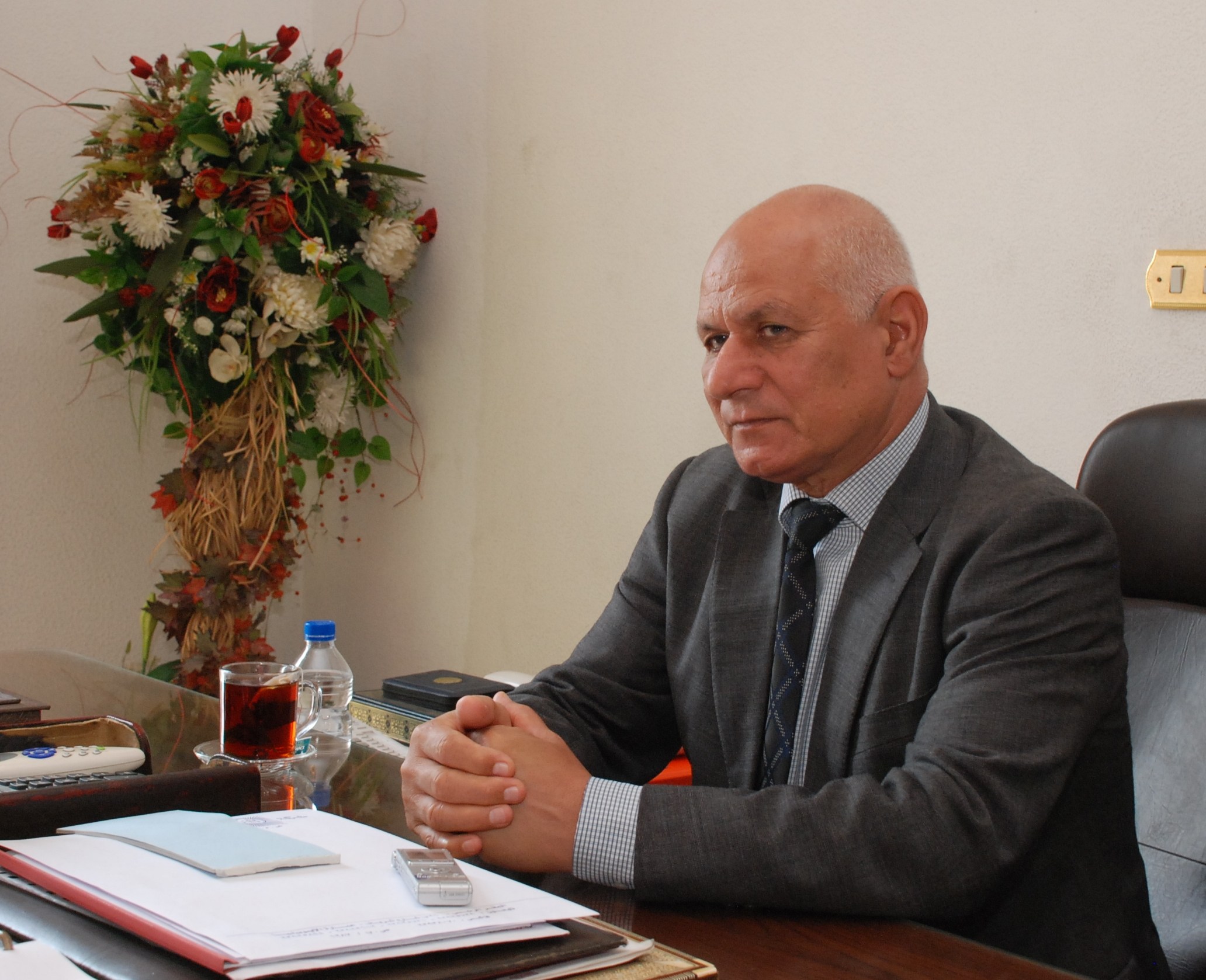 محمود مغاوري