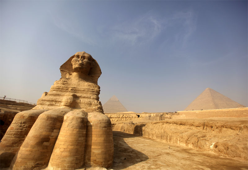 150 جنيهاً تراجعاً فى أسعار الأعلاف تأثراً بانخفاض الخامات