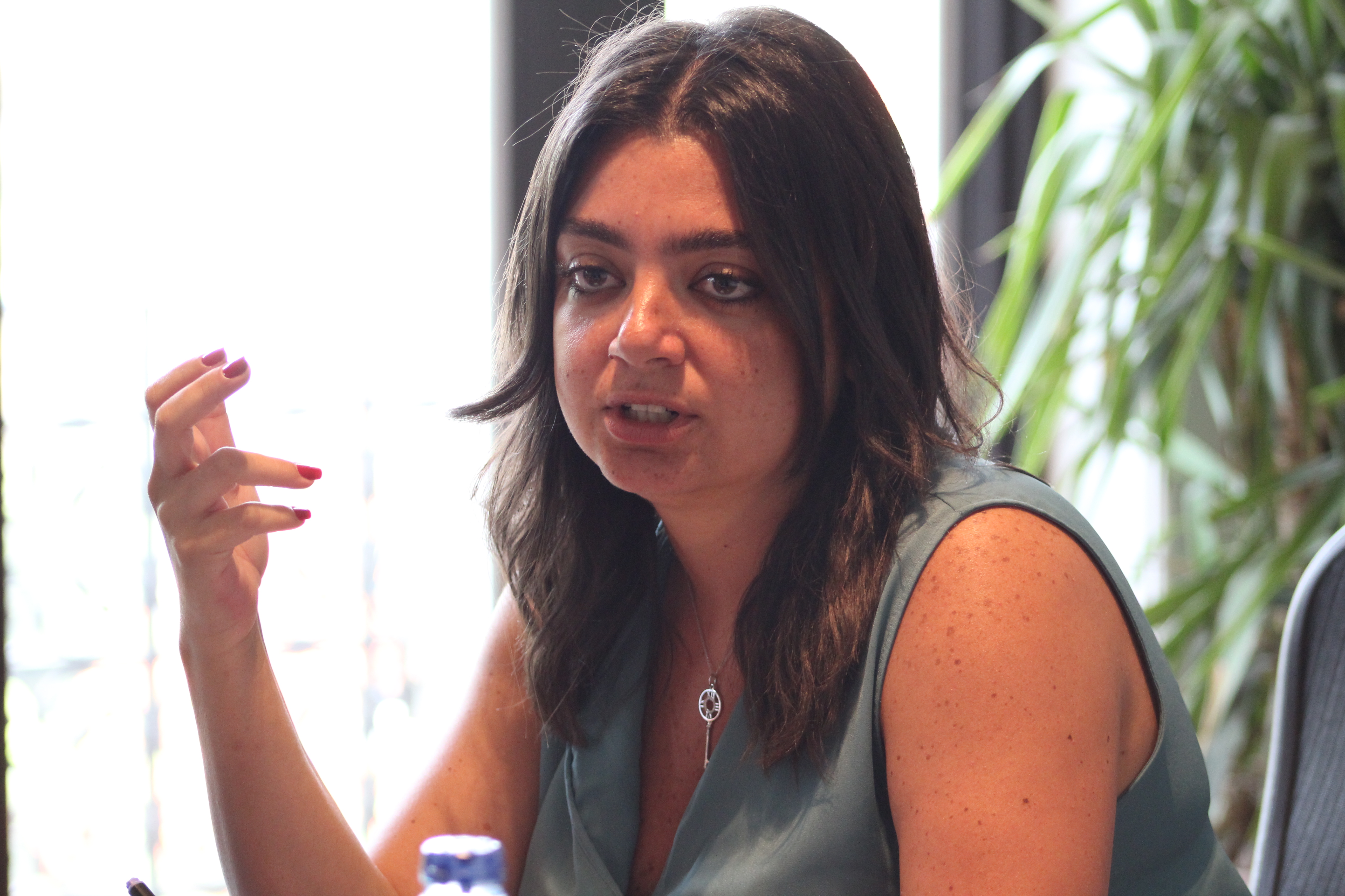 نهى الغزالى - فاروس