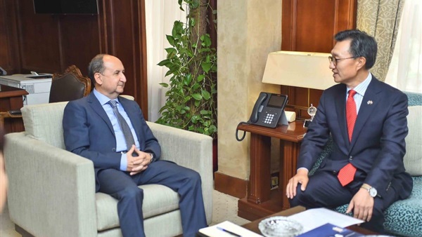 20 شركة كورية تبحث فرص الاستثمار في مصر الأسبوع المقبل