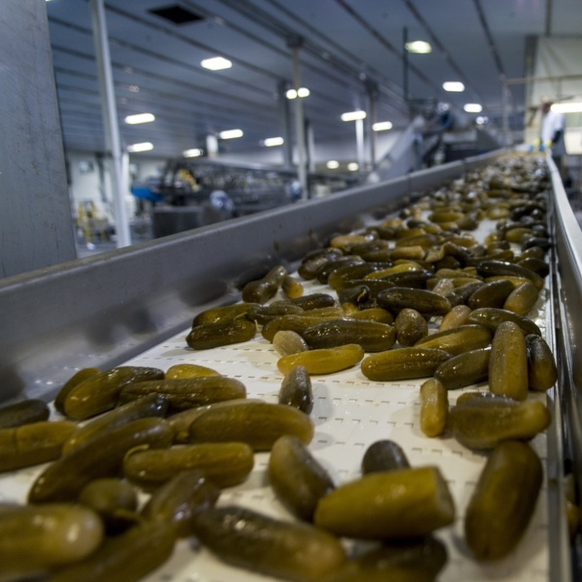 صناعة المخللات