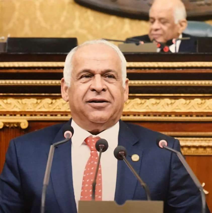 محمد فرج عامر