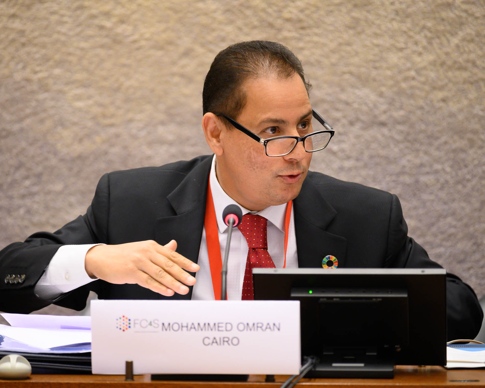 محمد عمران، رئيس الهيئة العامة للرقابة المالية