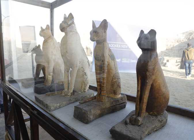 الآثار ؛ مومياوات قطط ؛ تماثيل أثرية