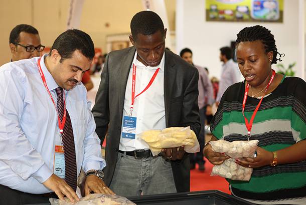 فوود أفريكا ؛ فود أفريكا