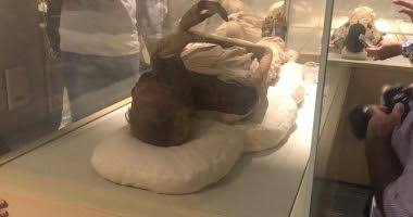 العنانى يجتمع بمحافظ القاهرة لمتابعة عملية نقل المومياوات الملكية لمتحف الحضارة