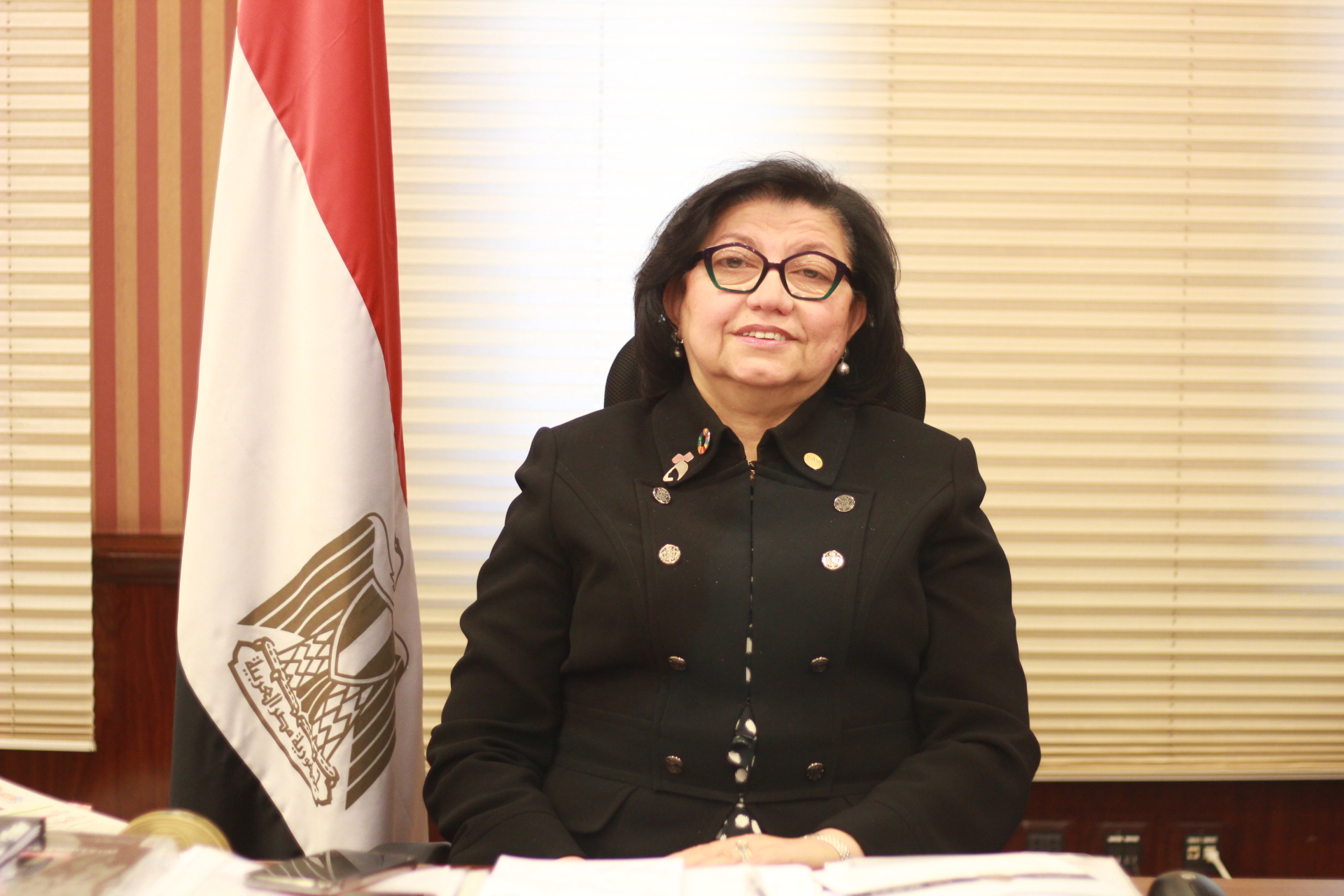 لميس نجم ؛ مستشار محافظ البنك المركزى