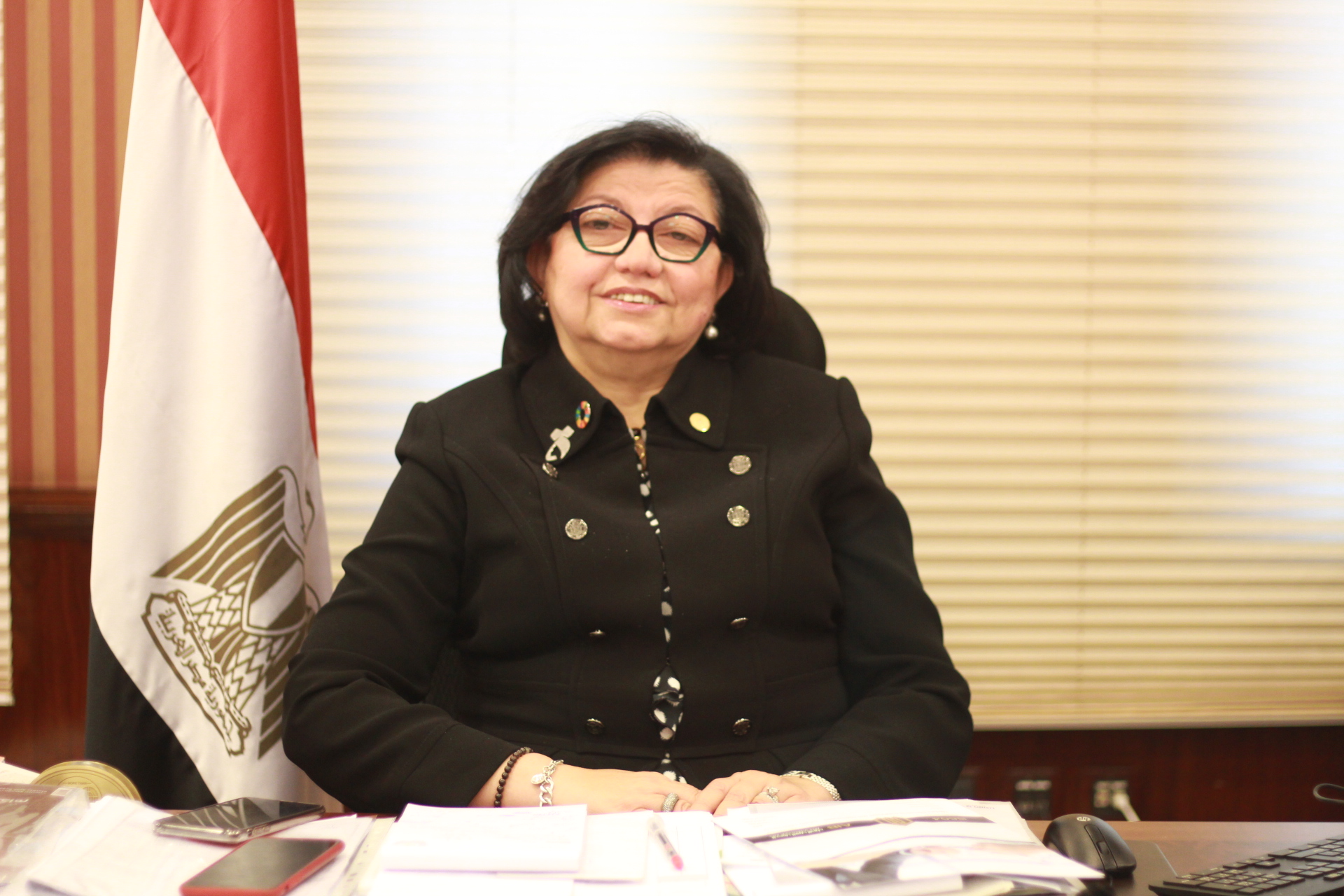 لميس نجم ؛ مستشار محافظ البنك المركزى