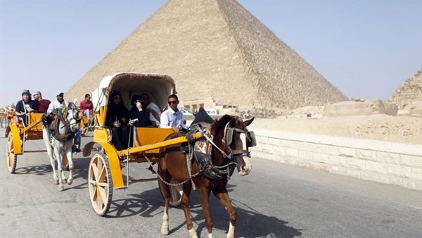 السياحة الخليجية في مصر